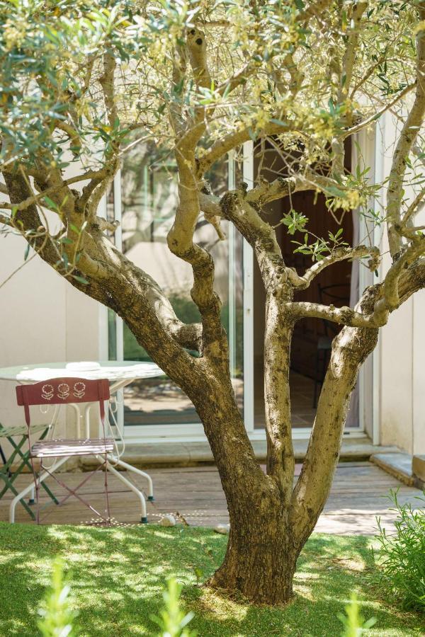 La Terrasse De L'Olivier Beaumes-de-Venise Buitenkant foto